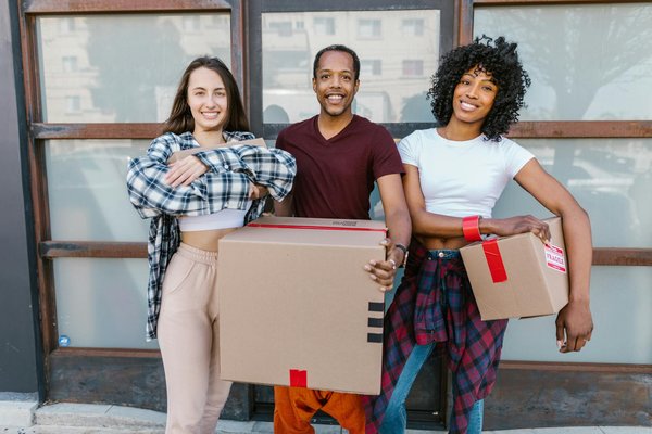 Elevate your decor with vibrant and stylish sofas